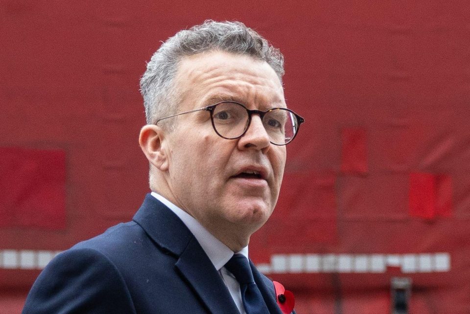 Labour Deputy Leader Tom Watson plans a Digital Bill of Rights which is set to pile pressure on Theresa May to deliver on a manifesto promise