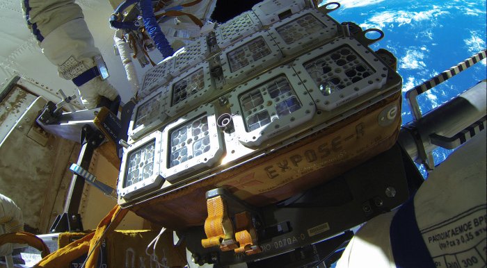  Organisms were loaded into the Expose R2 facility on the shell of the space station
