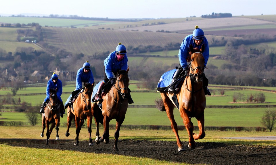 Jonjo trains in the hills of Gloucestershire