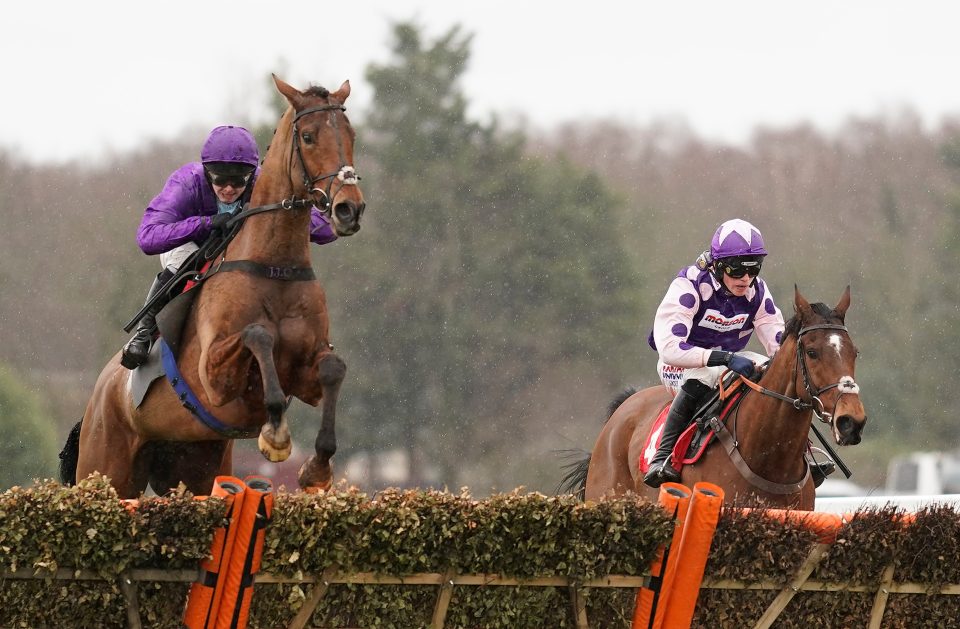 Jonjo Junior rode a winner as recently as Friday on Forza Milan