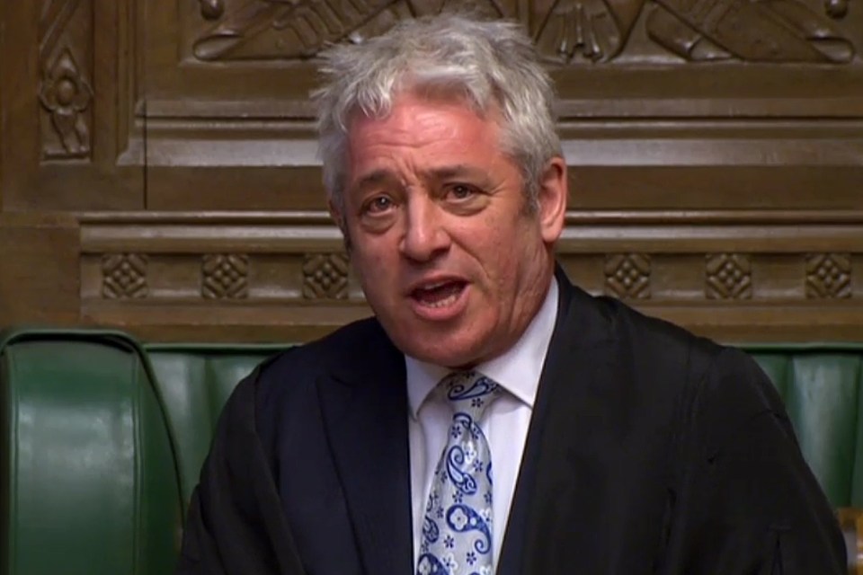  John Bercow drew fury from Brexiteers