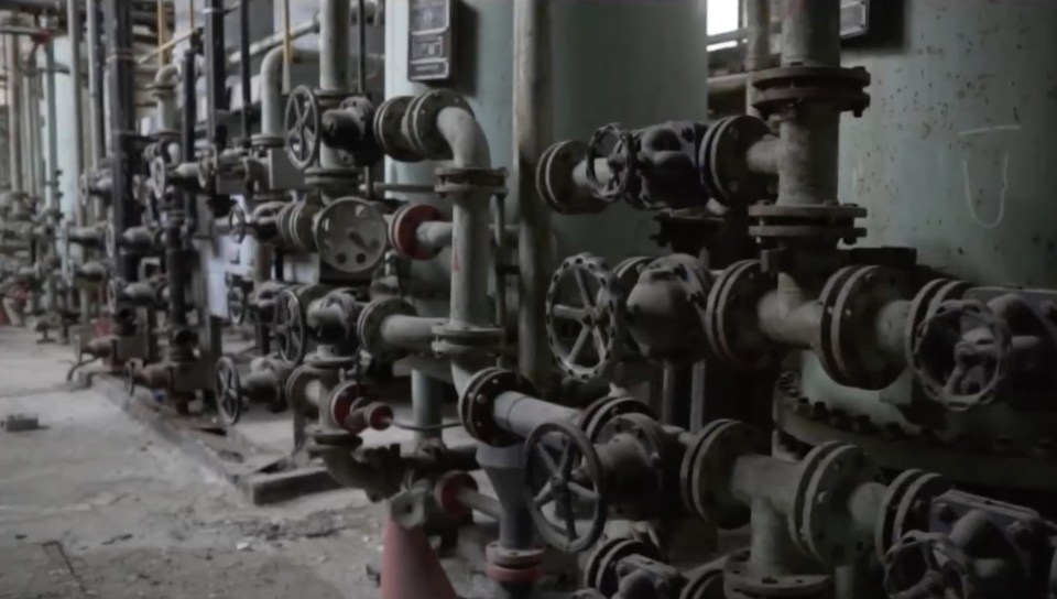 Complex pipe systems entwined around the plant 