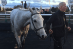 Sundance Boy was a long-overdue winner for trainer Giuseppe Fierro