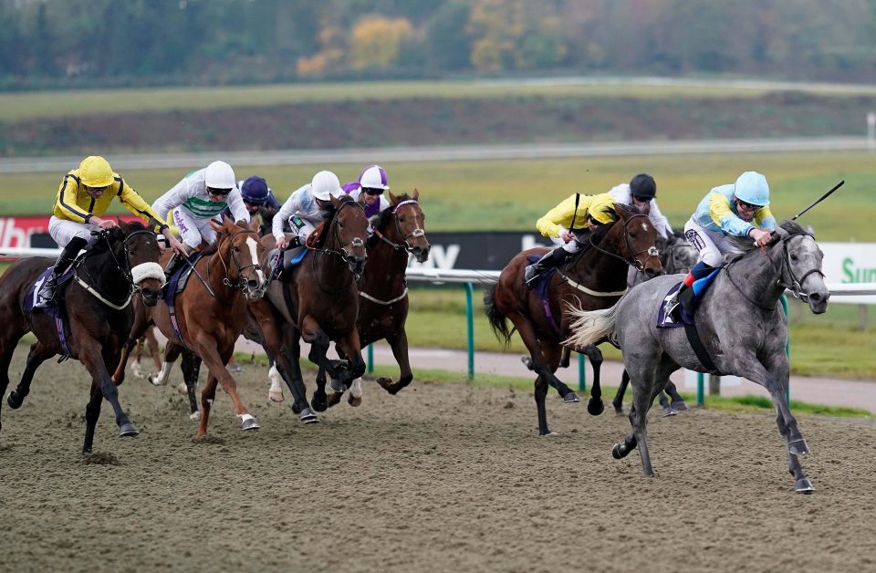 Wincanton, Lingfield and Wolverhampton come under the spotlight as Templegate gives you his best bets for the day