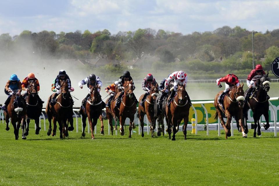 Steve Mullen guides you through Friday's racing at Lingfield, Fontwell, Wetherby and Newcastle.