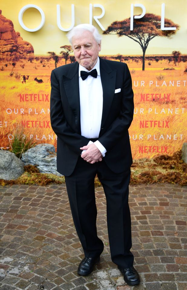  Sir David Attenborough attending the global premiere of Netflix's Our Planet, held at the Natural History Museum