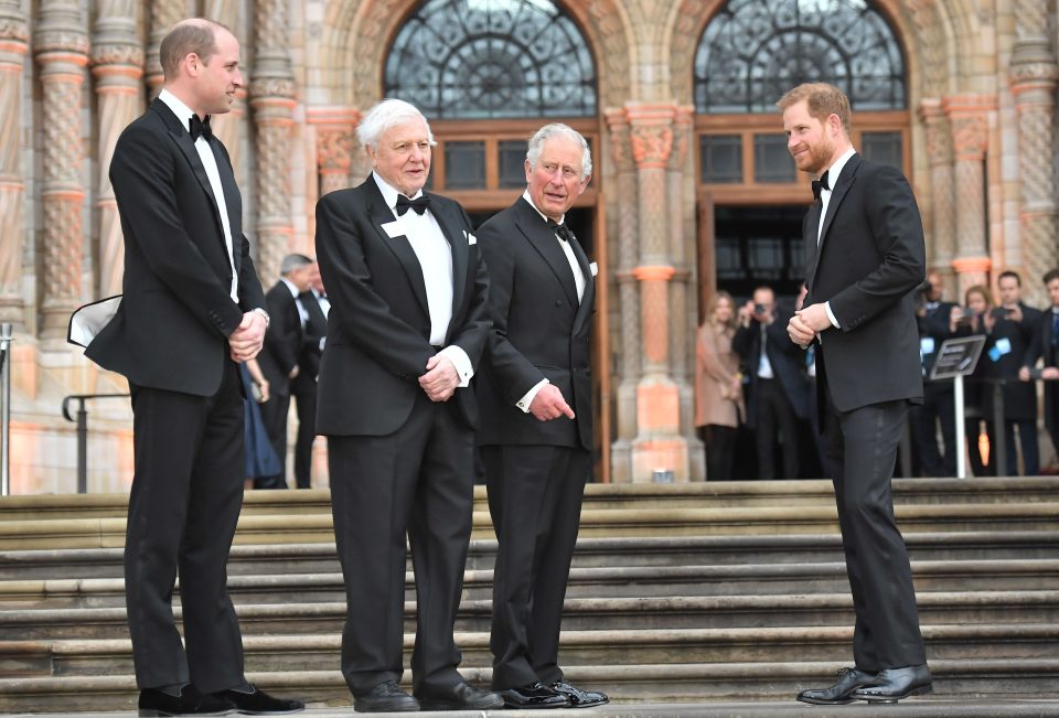  Prince William, Sir David Attenborough, Prince Charles and Prince Harry 'Our Planet' Netflix tv show premiere, National History Museum, London