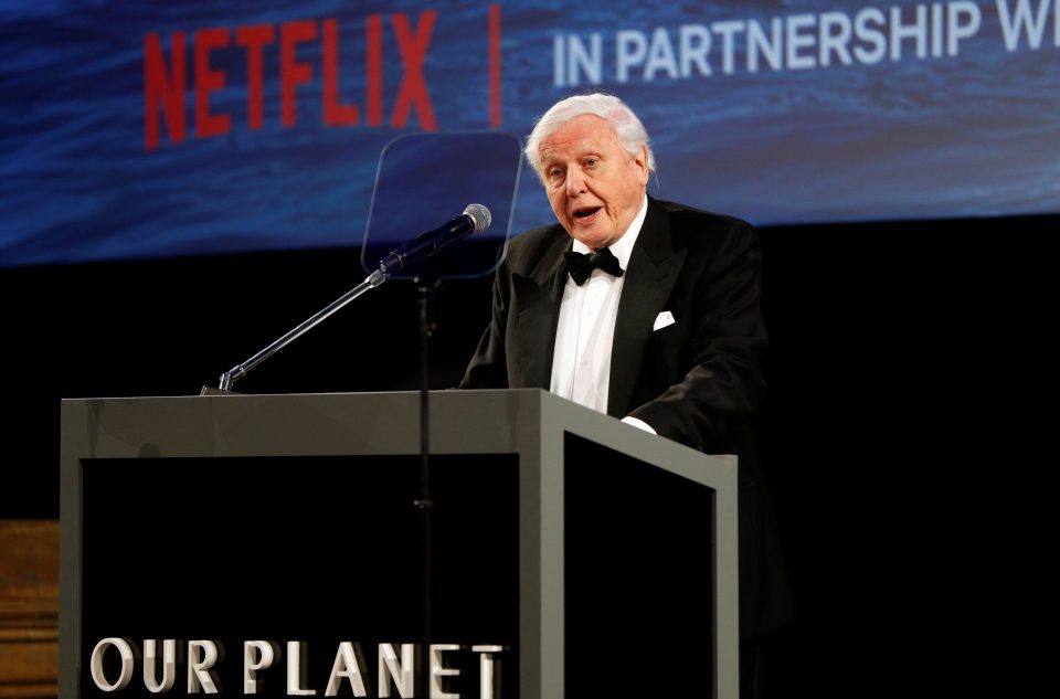  Our Planet is Sir David Attenborough's new series for Netflix