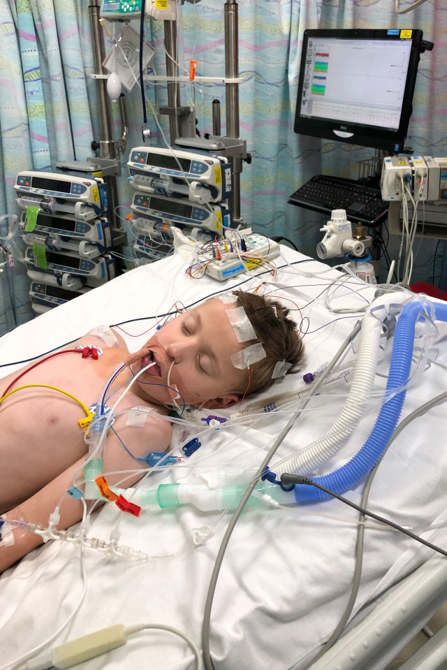  Tommy Plant, who is just seven-years-old, collapsed at his home on January 19 after his heart stopped twice