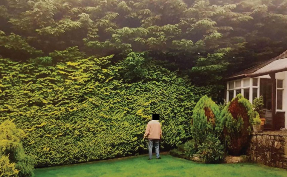  A man has been forced to cut down massive trees in his garden after neighbours complained they plunged their property into darkness