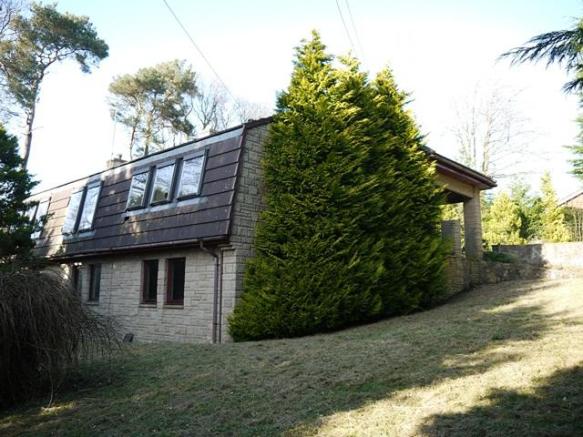  A man has been forced to cut down massive trees in his garden after neighbours complained they plunged their property into darkness.