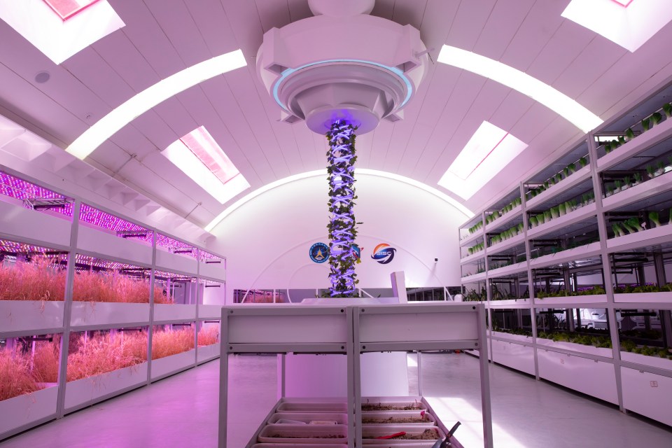  The so-called "bio module" is the type of area that actual scientists are considering for genuine Martian colonies