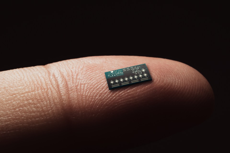  The computer chips will be small enough to be implanted into the human brain (stock image)
