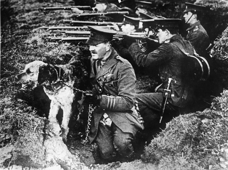 Dog