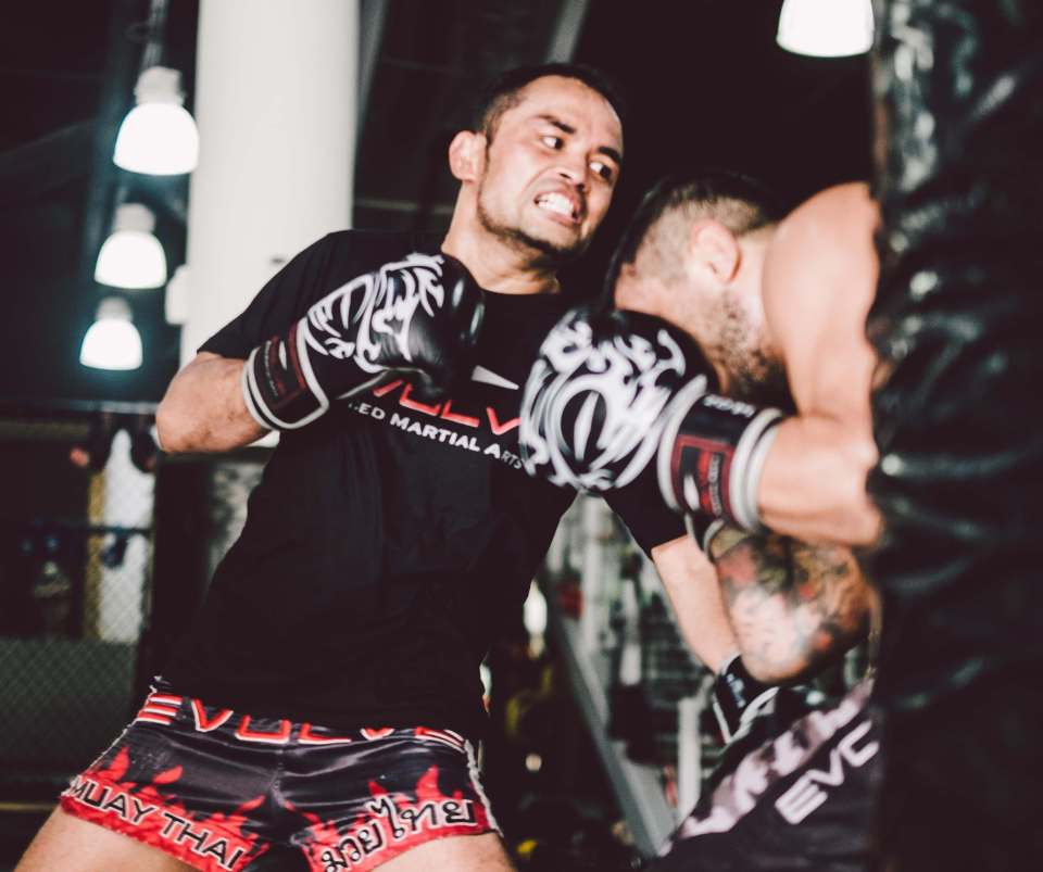  Evolve MMA homes to a record 58 champions across all martial art disciplines