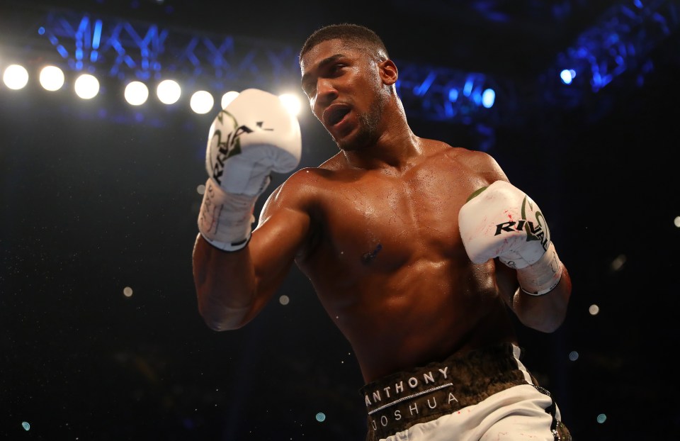  Anthony Joshua has earned millions during his career