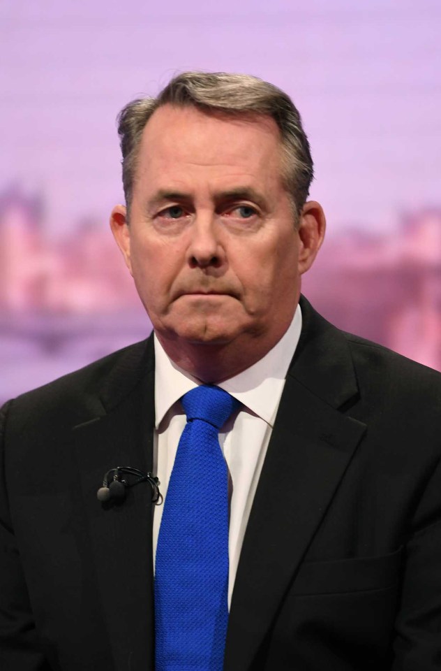 Liam Fox weighed in on the doomsday warnings saying that defeat will lead to 'either the potential of revocation of Article 50 or leaving without a deal'