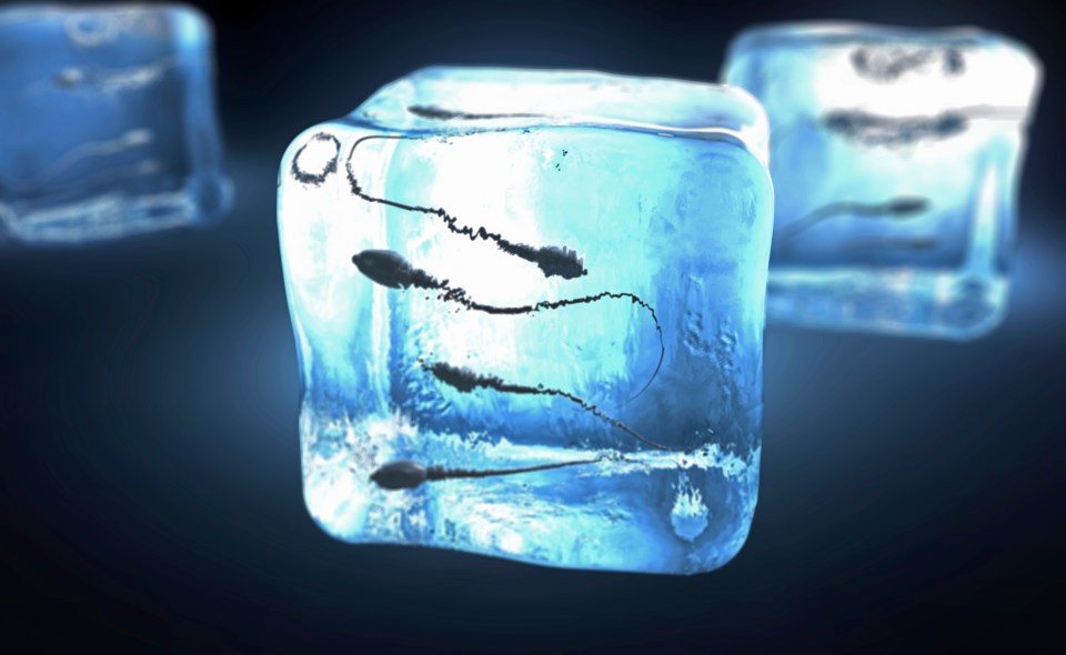  Blokes should freeze their sperm at 35 if they want kids, as scientists warn the male biological clock is ticking too