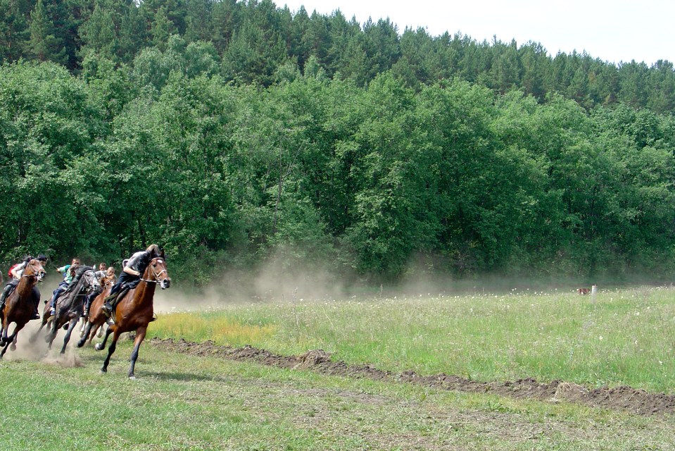 The heart of Kentucky lies in it's thoroughbred horses