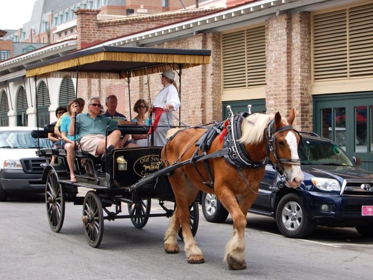 Go through Charleston by horse