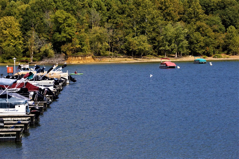 Explore Blue River in Indiana by kayak