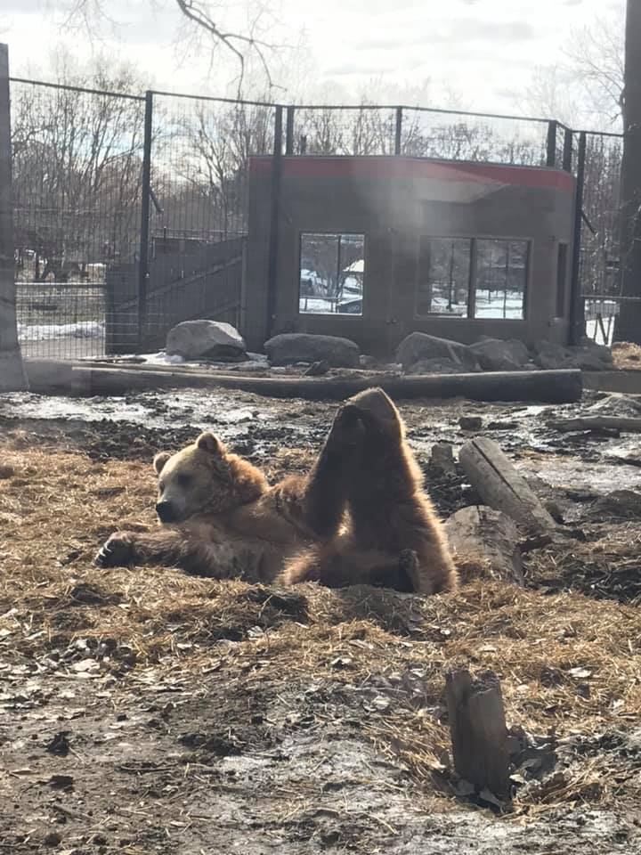 Dakota Zoo is home to over 600 animals