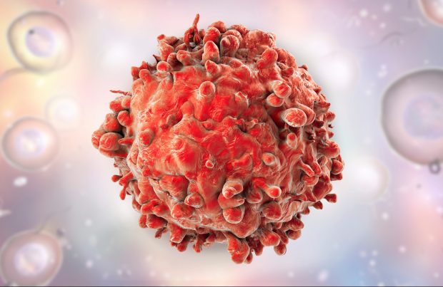 Blood cancer patients have been offered fresh hope after a new therapy has shown significant progress in killing off cancer cells