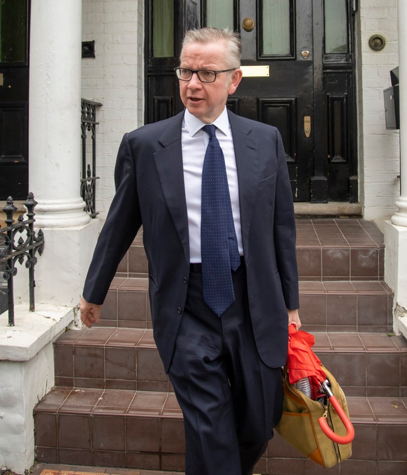  Michael Gove was booted out of the race to become Britain's next PM by Tory MPs