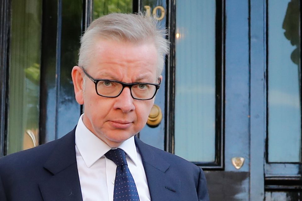  Michael Gove has reportedly been in talks with Boris Johnson about whether he would stay on in the Environment department