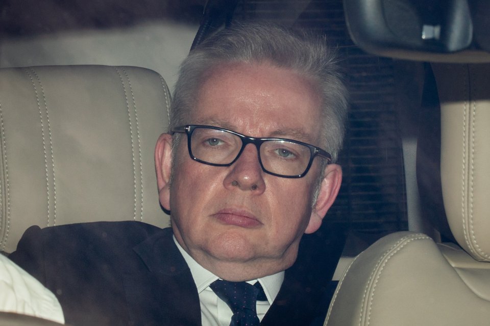 While Michael Gove was understandably less pleased with the result