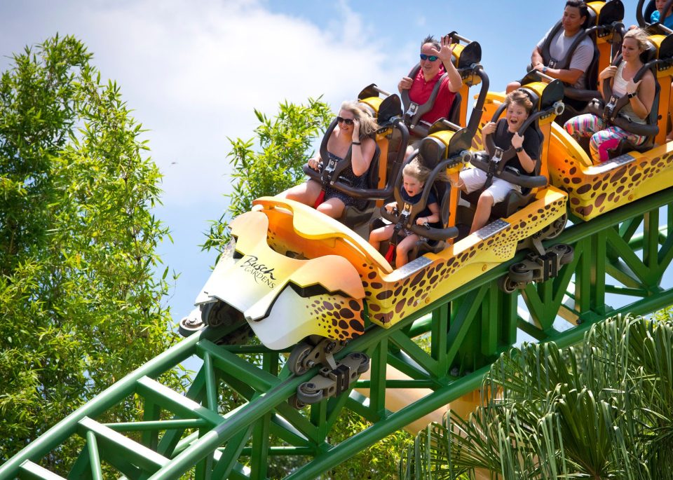  Zak loves a roller coaster so was delighted by the Manta, Mako and Kraken rides