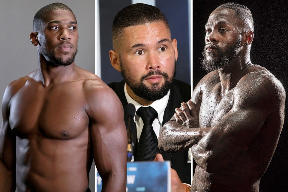  Tony Bellew has branded Deontay Wilder "disgraceful" for mocking Anthony Joshua