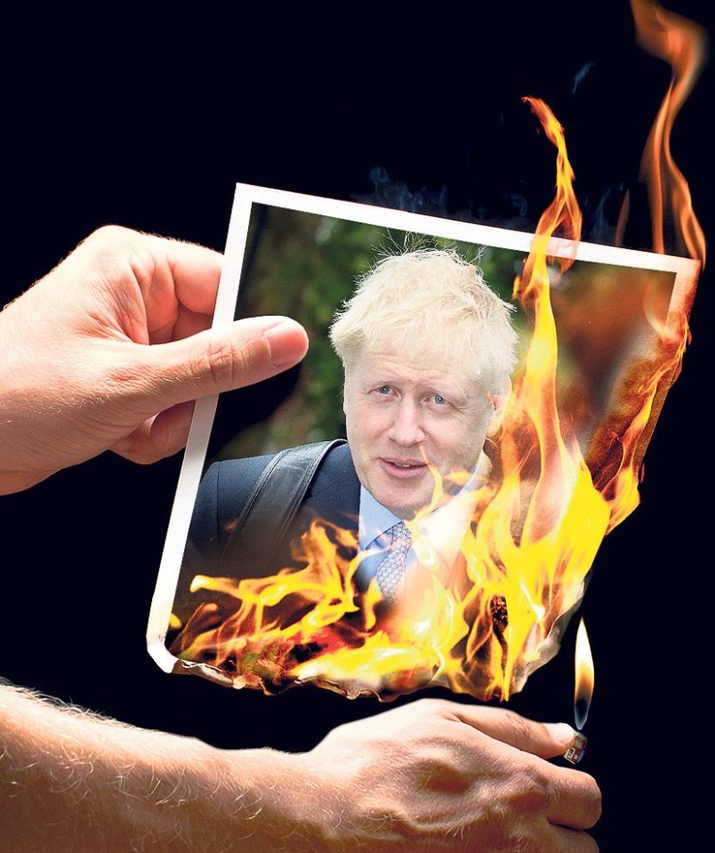  Opinion polls say he is the only Tory who can beat both Corbyn and Farage — yet there was an 'Anyone But Boris' campaign among Tory MPs for months