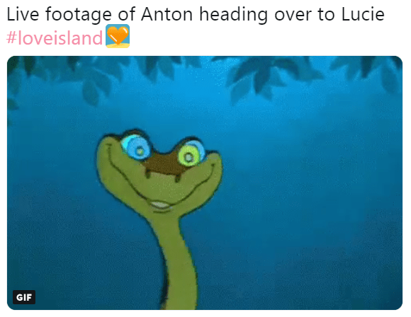  Many viewers branded Anton a snake