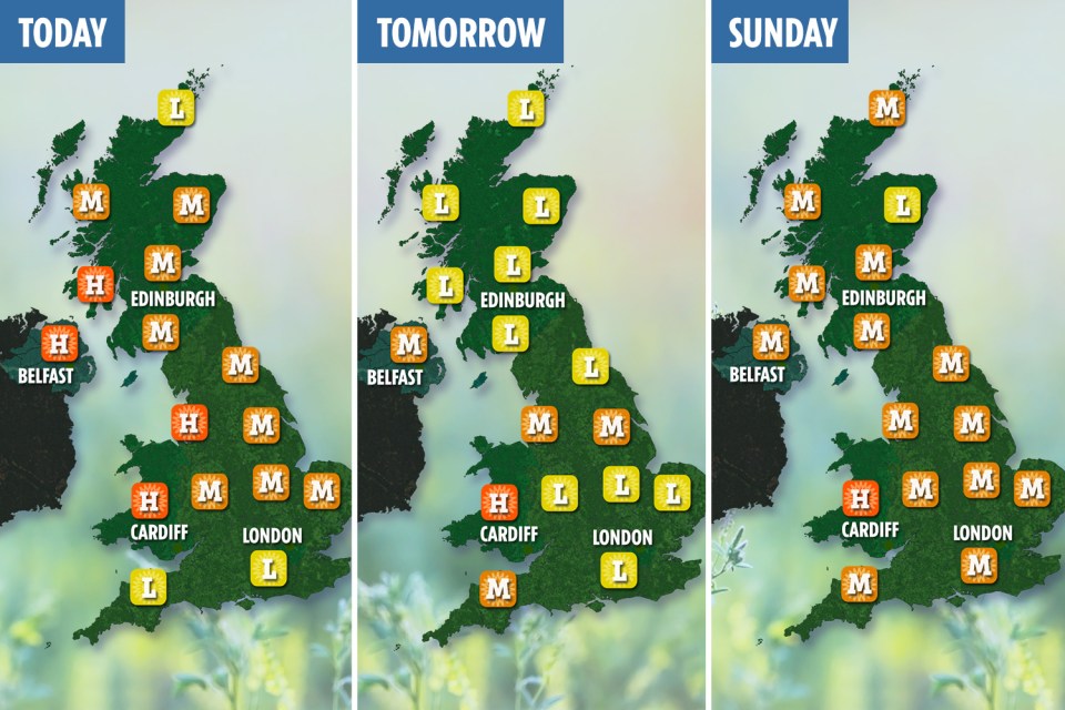  The pollen forecast for the UK over the next three days shows levels are high for the west of the country