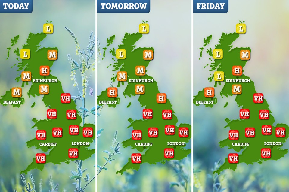 The pollen nightmare continues this week as 'very high' levels are predicted