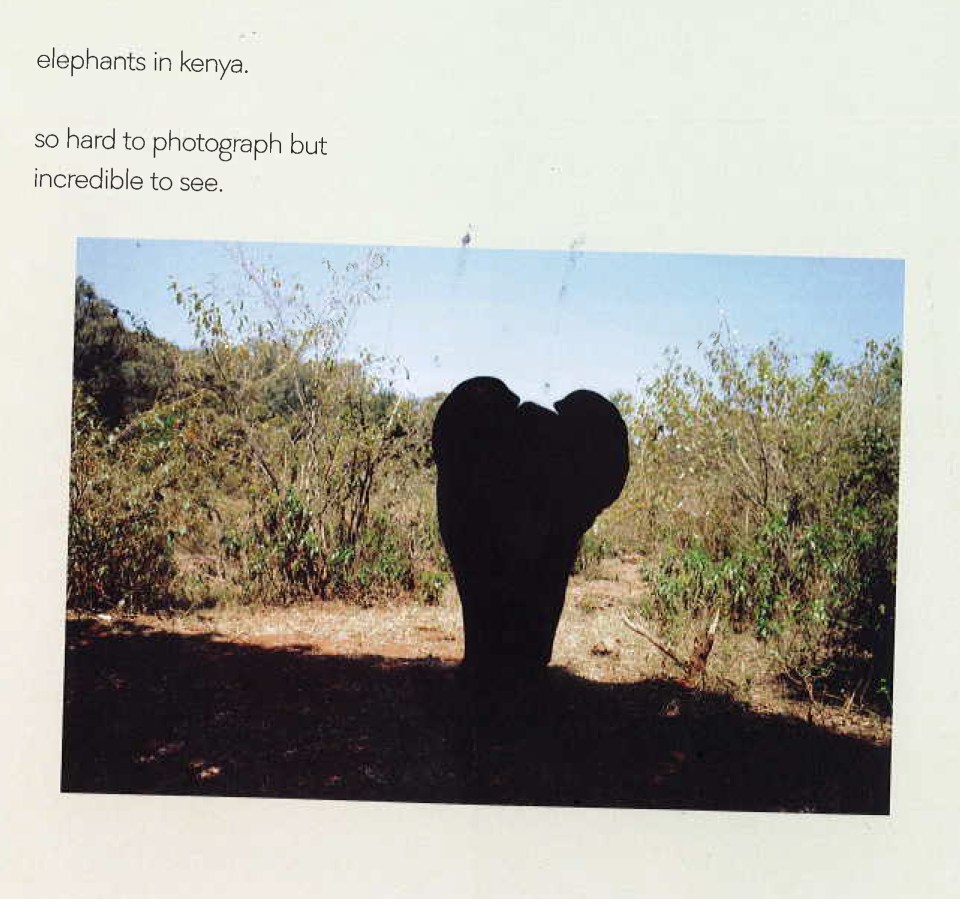  Brooklyn's shot of an elephant from his photography book What I See published by Random House