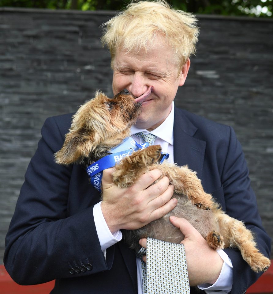 Boris Johnson being licked by a pooch on his campaign trail