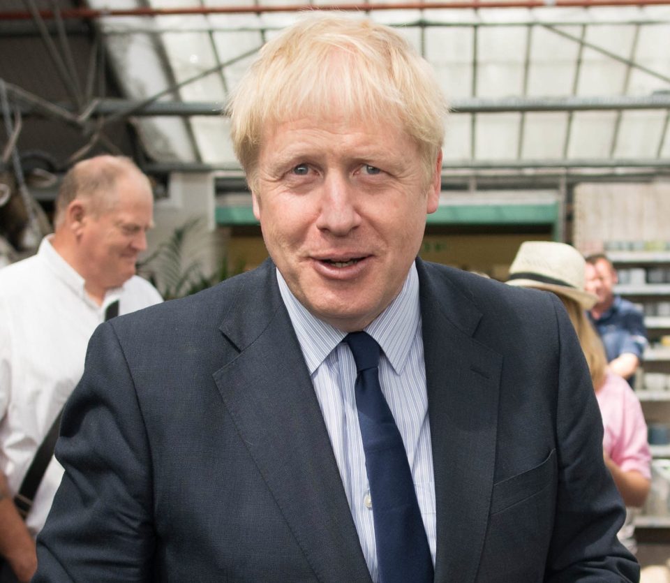Mr Hunt referred to Tory leadership rival Boris Johnson - seen in Polhill Garden Centre near Halstead in Kent - as a 'showman'