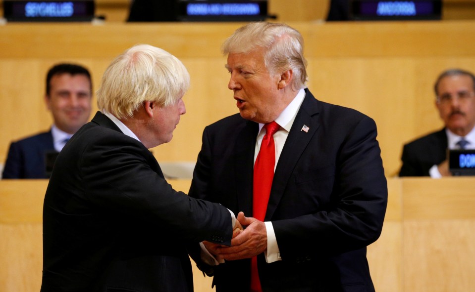 Boris Johnson is set to meet Donald Trump three times in 100 days, pictured together in 2017