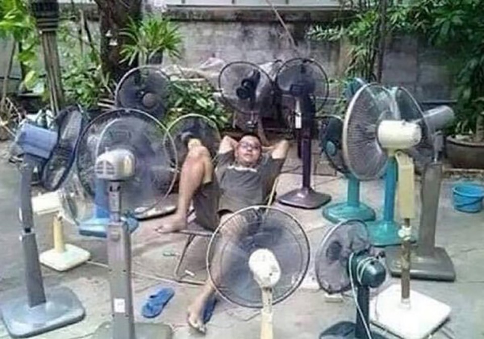 Life’s a breeze for this switched-on bloke