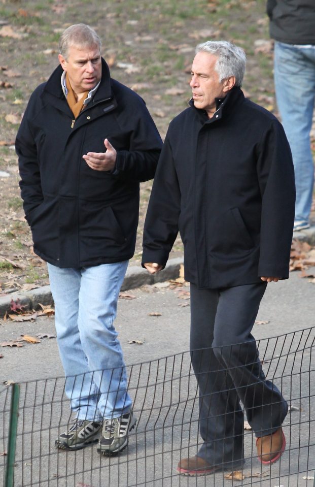 Prince Andrew with Jeffrey Epstein in New York in 2011
