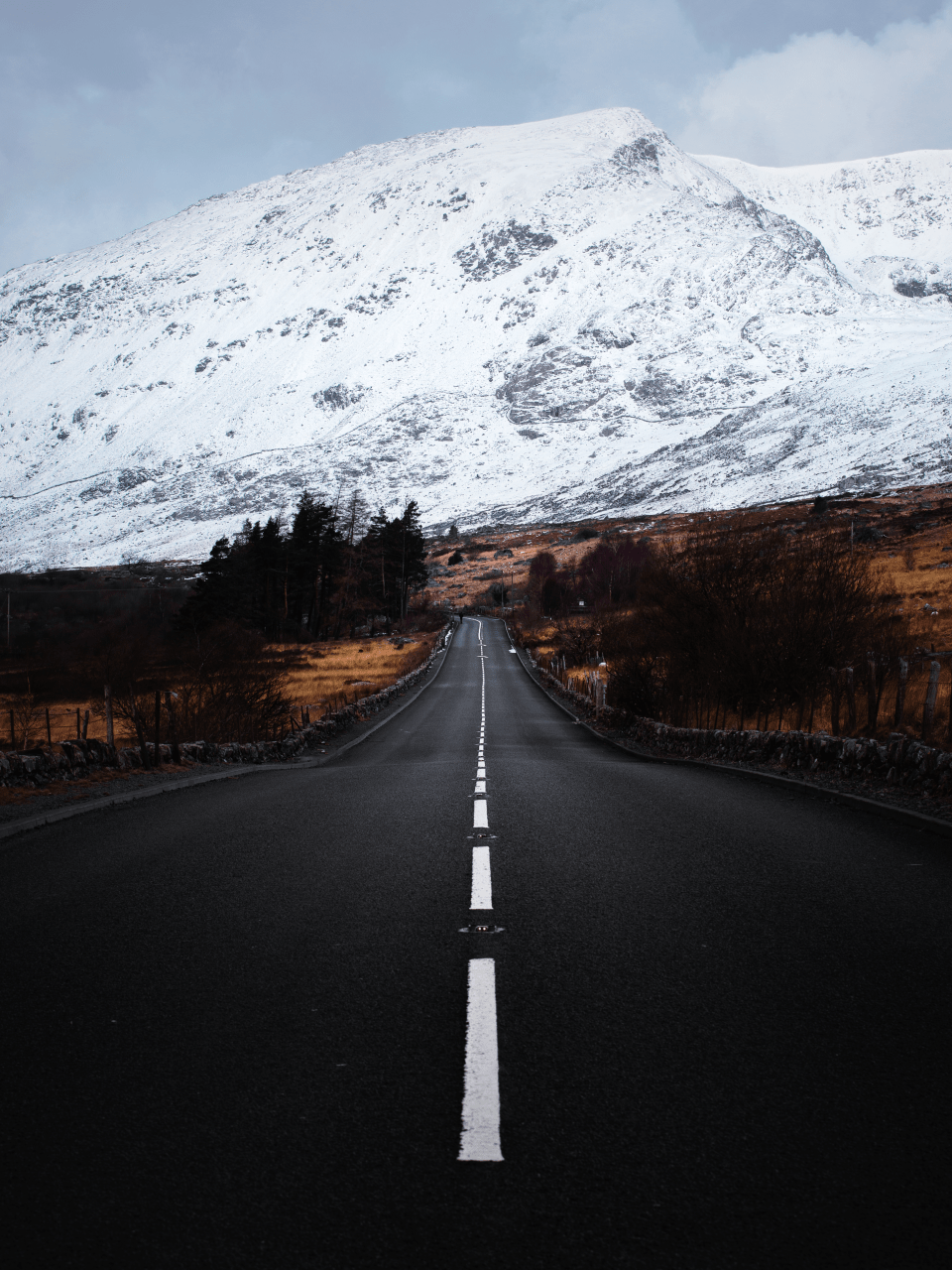  Matt Benham's 'The Road to Winter' - simple yet eye-catching