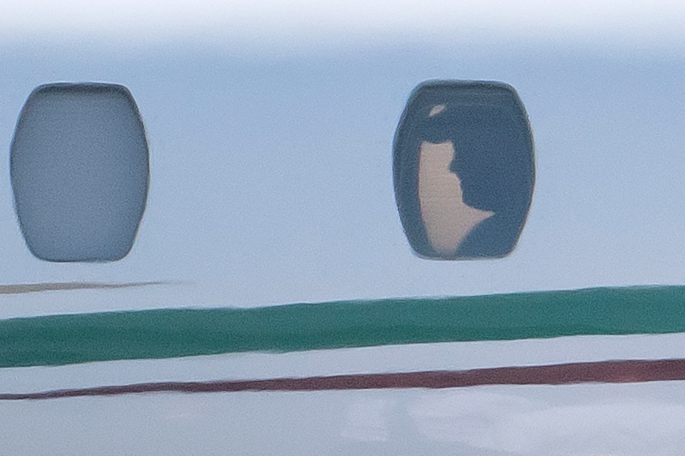 The outline of a man that resembles Prince Harry is seen on the luxury jets window