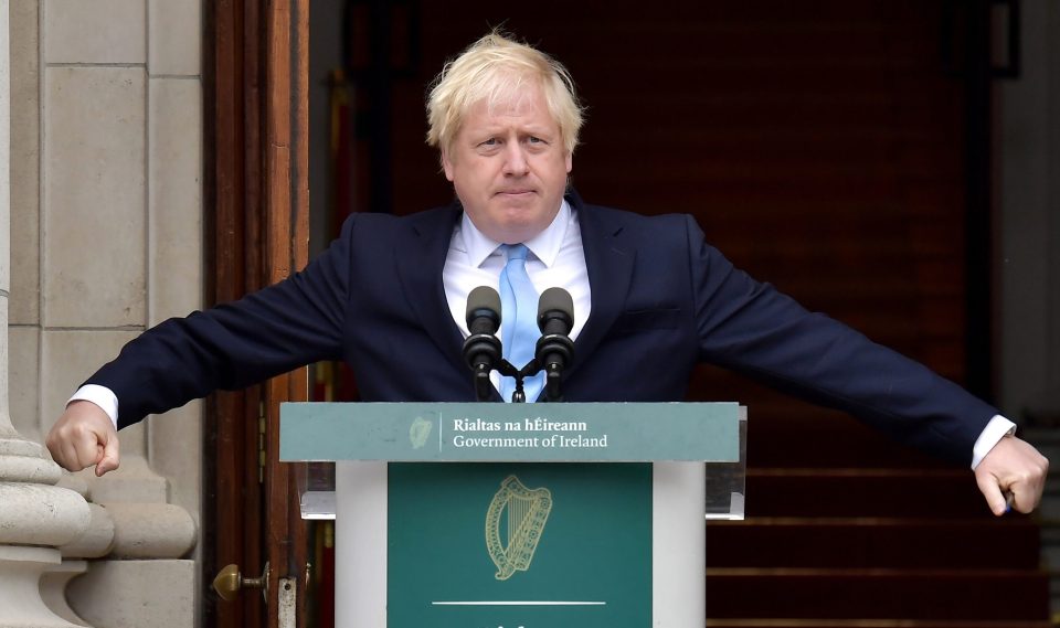  Boris Johnson was planning to oust Bercow from his Buckingham seat