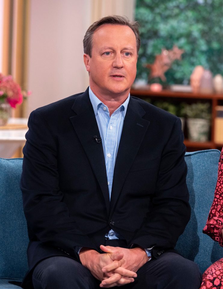 David Camerons memoirs have crashed in flames