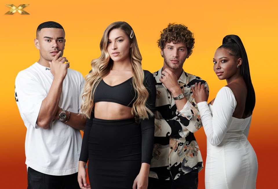 Former Love Islanders Wes Nelson, Zara McDermott, Eyal Booker abd Samira Mighty want more fame