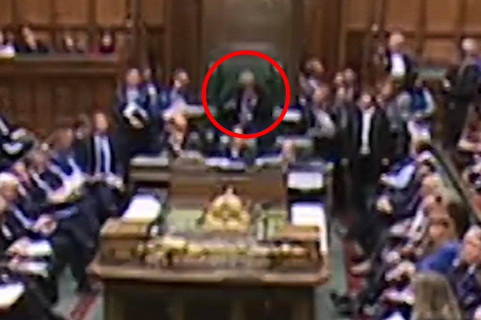  Some suggested Bercow (ringed) dripped water in his eyes during his resignation speech in the Commons