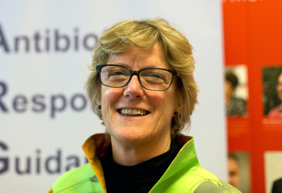 Chief Medical Officer Sally Davies the most deranged of the nanny-state zealots