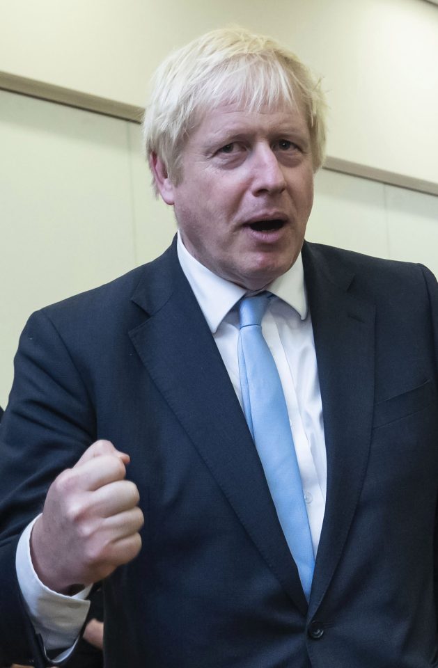 The PM has stunned the Brexit-denying Remoaners just by getting the UK this close to a deal